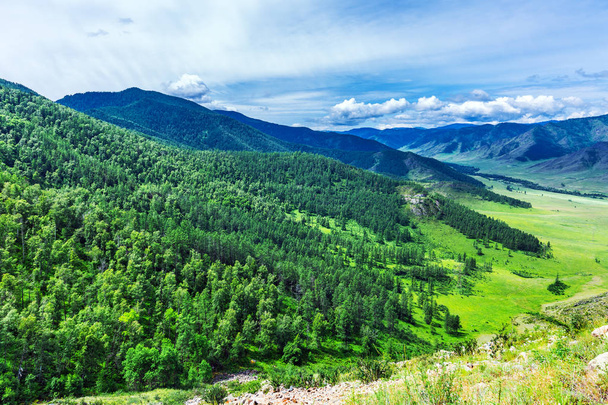 Chike - Taman mountain pass. Altai Republic, Russia - Foto, immagini