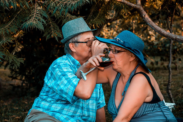 Happy senior loving couple drinking wine on a picnic - Photo, Image