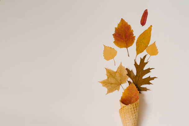 Осінній морозиво. Творчий макет осіннього листя. Жовта осінь впала листя в вафельному стаканчику на бежевому фоні. Осінній сезон. Копіювати пробіл - Фото, зображення