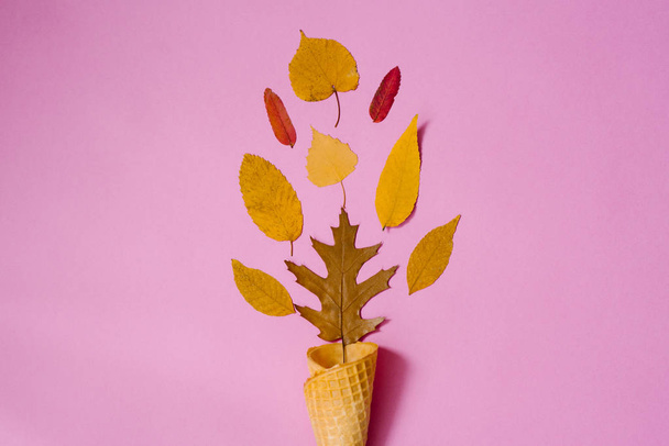 Осеннее мороженое с опавшими желтыми листьями в вафельной чашке на розовом фоне. Концепция осеннего меню. Пространство для размещения и копирования
 - Фото, изображение