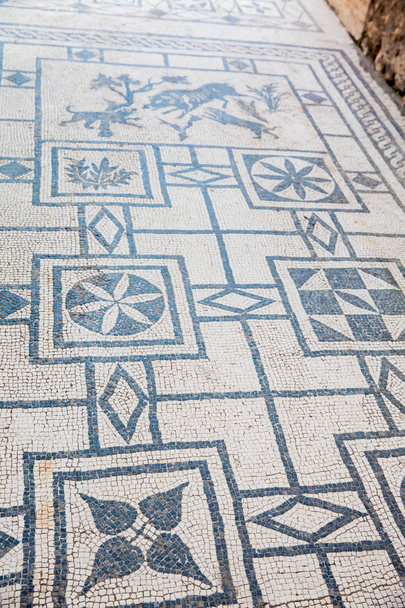 Detail of the floors on the ruins of the houses in the ancient city of Pompeii - 写真・画像