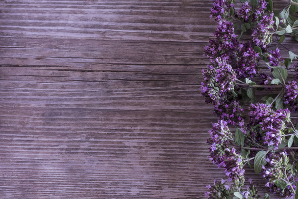 frame van oregano gras op houten oppervlak in lila kleur met Kopieer ruimte - Foto, afbeelding