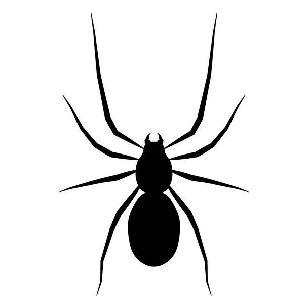 Ikona ilustracja na białym tle pająk wektor - Wektor, obraz