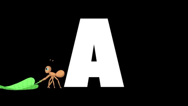 Animasyonlu zoolojik İngiliz alfabesi. Alfa mat hareket grafiği. Karikatür Karınca bir harf A ön planda - Video, Çekim