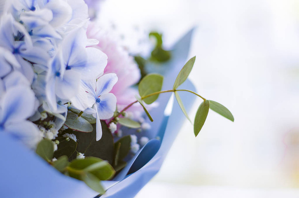 Bouquet of flowers close-up. Peonies, hydrangea. - Valokuva, kuva