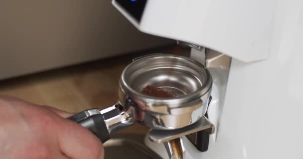 Barista preparando café molido en Portafilter para la máquina de café. Molinillo eléctrico muele granos de café en el soporte del filtro. Cafetera profesional haciendo café de principio a fin en el café - Metraje, vídeo