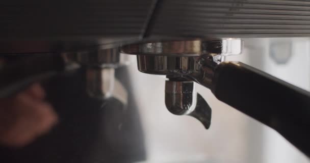 Αγνώριστο Barista Attaching Portafilter, Τοποθέτηση Κύπελλο κάτω από Dispenser της επαγγελματικής μηχανής καφέ και αρχίζει να ρίχνει καφέ. Κάνοντας φρέσκο μαύρο καφέ από την αρχή μέχρι το τέλος στην καφετέρια - Πλάνα, βίντεο