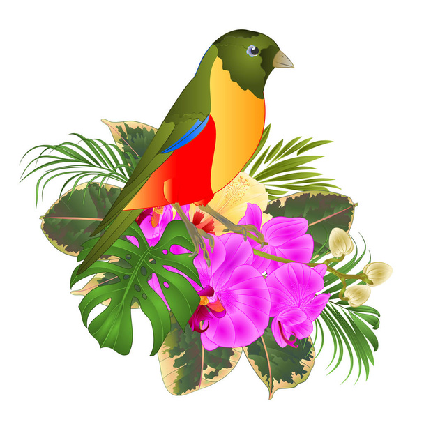 Small tropical bird with tropical flowers   floral arrangement, with beautiful orchid and hibiscus,palm,philodendron and ficus vintage vector illustration  editable hand draw  - Vector, Image