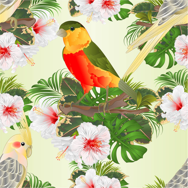 nahtlose Textur gelbe Nymphensittiche niedliche tropische Vögel lustige Papageien und tropische Vögel und weiße Hibiskus Aquarell-Stil auf einem grünen Hintergrund Vektor Illustration editierbare Handzeichnung - Vektor, Bild