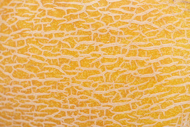 Nahaufnahme der Textur der gelben Melonenschale - Foto, Bild