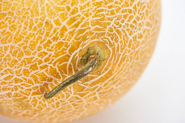 close up view of ripe yellow melon with tail on white background - Valokuva, kuva