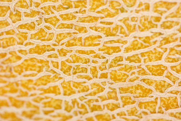 close up view of textured yellow melon peel - Foto, imagen
