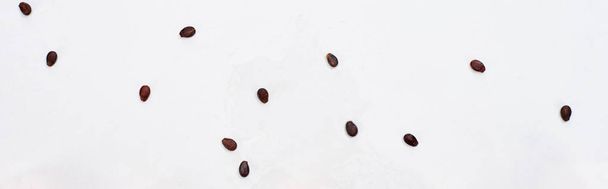 panoramic shot of fresh watermelon seeds on white background - Foto, afbeelding