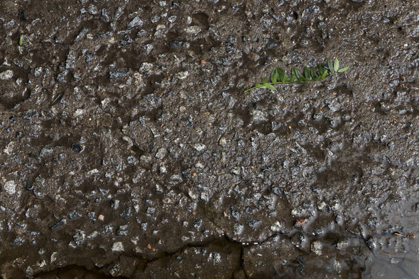 Textura de laje de concreto molhado após a chuva
. - Foto, Imagem
