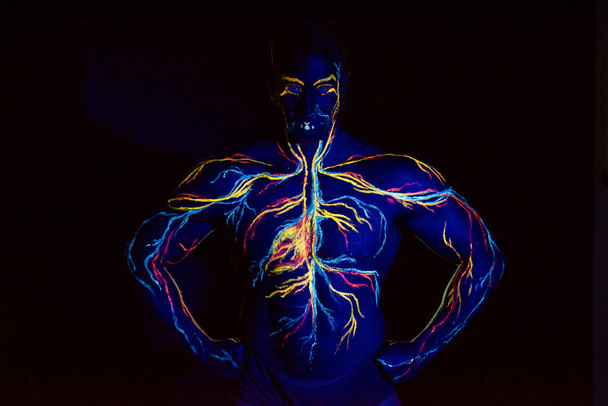 UV picture of the circulatory system body art on the body of an adult male. On the chest of a muscular athlete, veins and arteries are drawn with fluorescent dyes. Neon light. - Foto, immagini