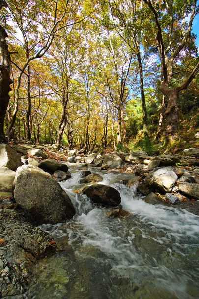 ユーボア島の中央部にあるステニ・ディルフィオスの秋の透明な川と森 - 写真・画像