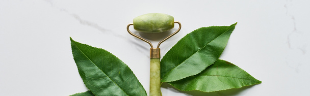 plano panorámico de rodillo de masaje verde cerca de hojas frescas en la superficie de mármol
 - Foto, Imagen