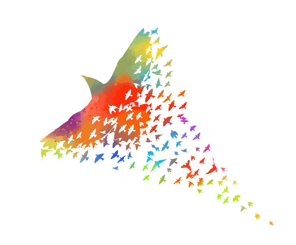 Çok renkli kuşlar. Soyut kuş mozaiği. Uçan gökkuşağı kuşları sürüsü. Vektör Illustration - Vektör, Görsel