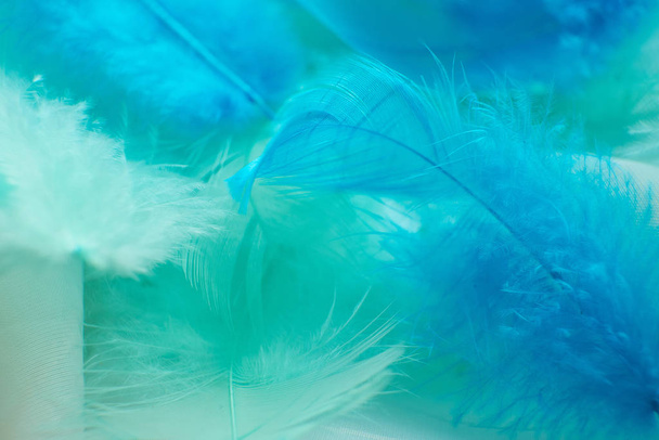 grün türkis und blau Farbtrends Feder Textur Hintergrund, hellorange - Foto, Bild