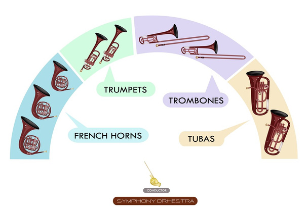 График рассадки деревянного духового инструмента для симфонической группы
 - Вектор,изображение
