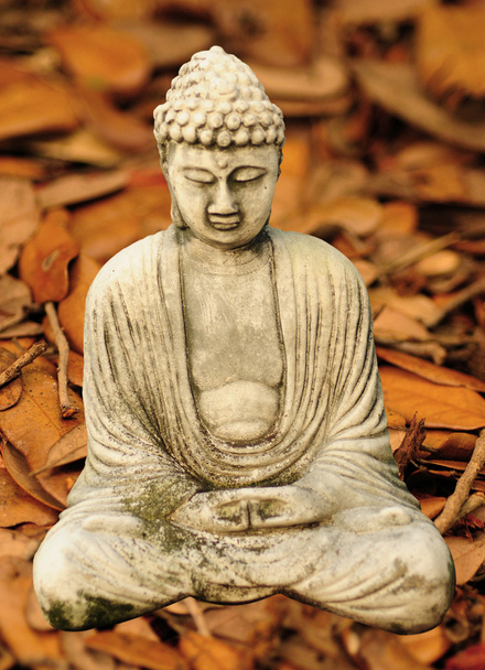 Herbstbuddha - Foto, Bild