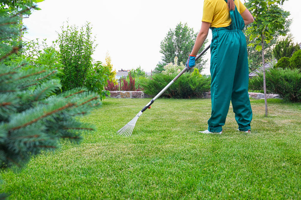 Woman raking green lawn at backyard. Home gardening - Foto, immagini