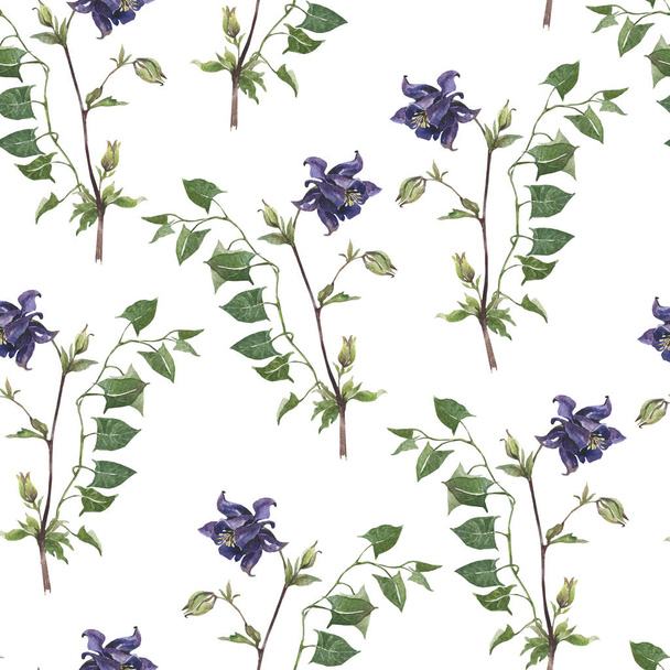 Watercolor botanical pattern, textile design. Seamless pattern. Spring wildflowers, green branches. Wrapping paper, gift wrapping.  Aquilegia flower. Rustic, eco wedding decor, wrapping paper. - Фото, изображение