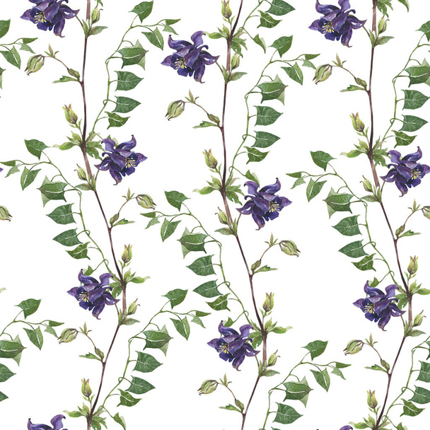 Watercolor botanical pattern, textile design. Seamless pattern. Spring wildflowers, green branches. Wrapping paper, gift wrapping.  Aquilegia flower. Rustic, eco wedding decor, wrapping paper. - Foto, Bild