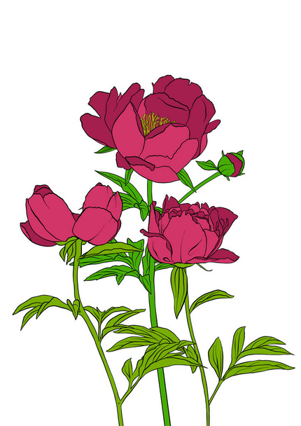 vetor desenho flores
 - Vetor, Imagem
