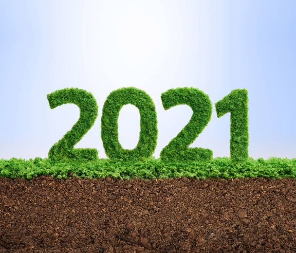 2021 green ecology year concept - Foto, Bild