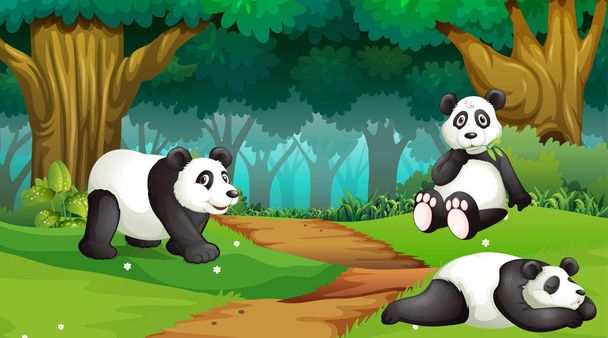 Pandas in wood scene - Vektor, obrázek