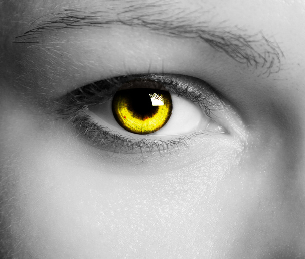 Hermoso ojo
 - Foto, Imagen
