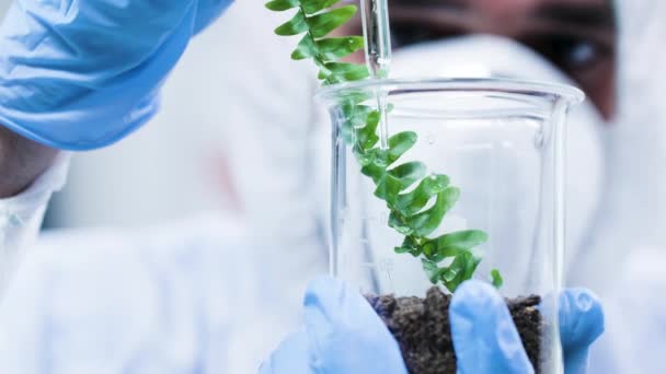 Nalewanie GMO na rośliny testowe w nowoczesnym laboratorium - Materiał filmowy, wideo