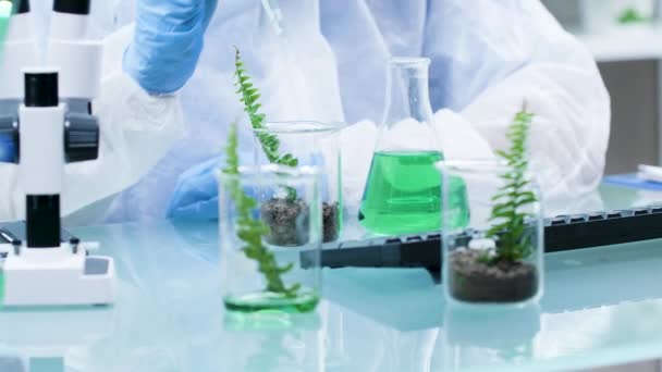 Químico fazendo experiências com OGM em plantas
 - Filmagem, Vídeo