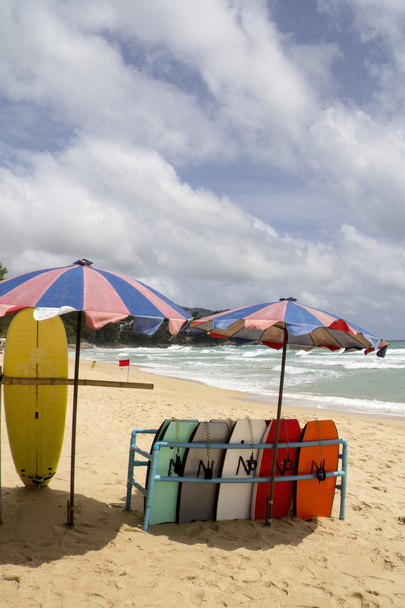 Дошки для серфінгу на пляжі Сурін - Фото, зображення