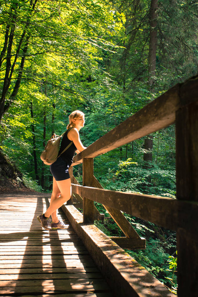 Hiking in an idyllic forest: Young girl is standing on a wooden  - Foto, Bild