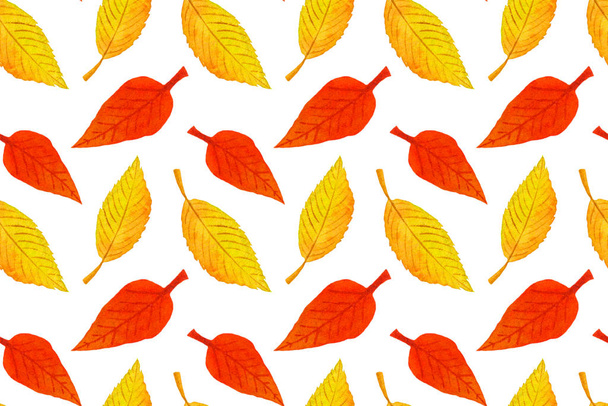 Watercolor autumn seamless pattern with colorful leaves - Fotó, kép
