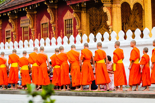 Monk at the Luang Prabang - Zdjęcie, obraz