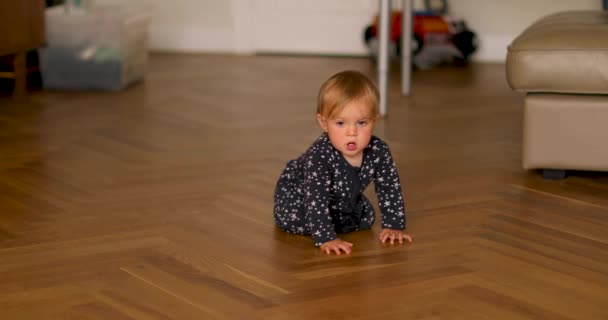 Focused toddler crawling across room - Filmati, video