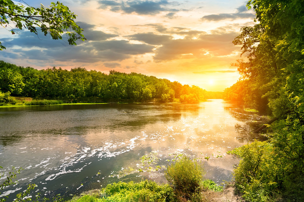 Coucher de soleil sur la rivière dans la forêt - Photo, image