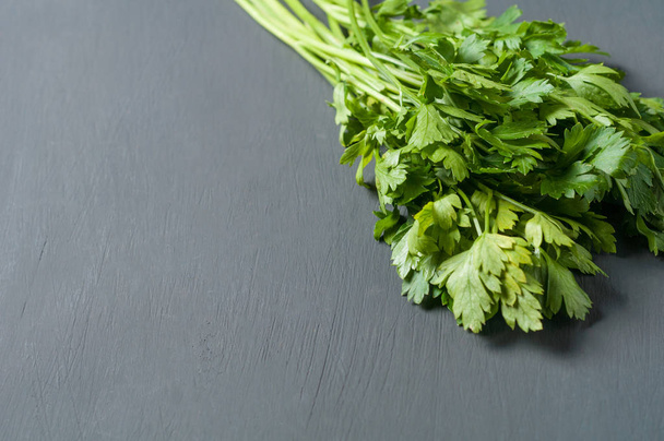 One bunch of whole fresh ripe parsley lies on dark cement table - Foto, Imagem