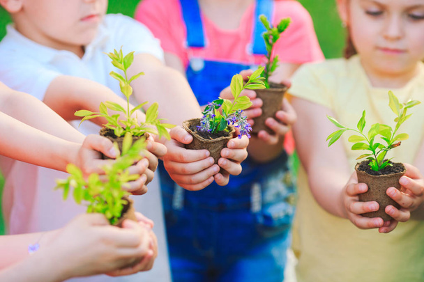 子供たちは救助の世界の概念として一緒に黒い土壌に若い木を植える手. - 写真・画像
