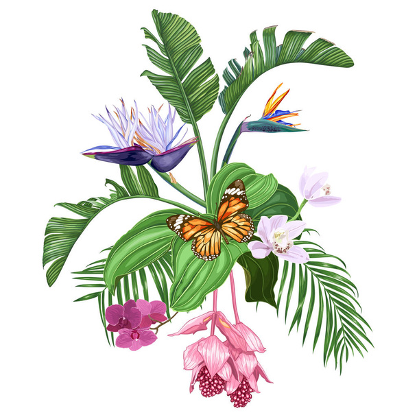 Composition of tropical flowers and leaves with butterfly isolated on white background. Strelitzia, orchids, medinilla, palm trees. Vector illustration.  - Вектор, зображення
