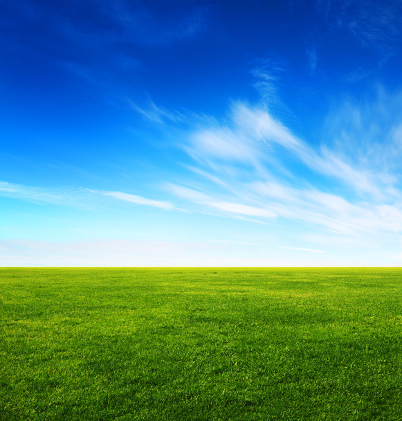 Imagen de campo de hierba verde y cielo azul brillante - Foto, imagen