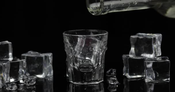 Verter un trago de vodka de una botella en un vaso. Fondo negro
 - Imágenes, Vídeo