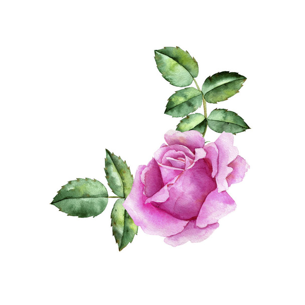 watercolor drawing flower of rose - Φωτογραφία, εικόνα