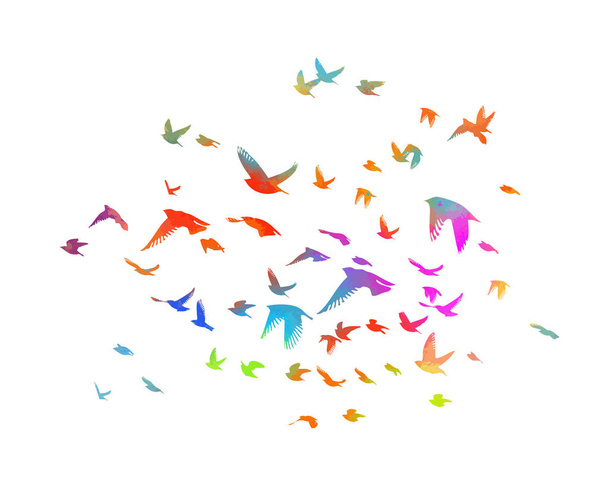 多色鳥。虹の鳥の群れ。ベクターイラスト - ベクター画像
