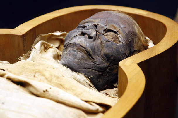 Открытый гроб египетской мумии
 - Фото, изображение
