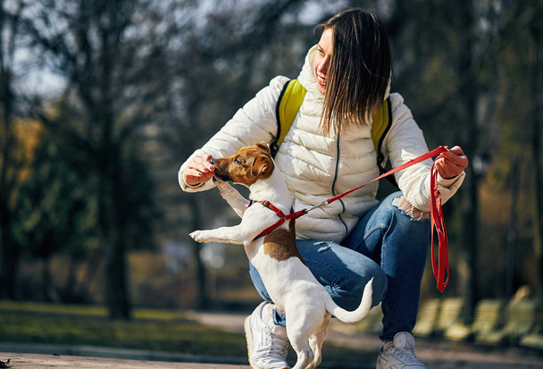 Молода стильна хіпстерка гуляє з щеням Джека Розелла в парку
 - Фото, зображення
