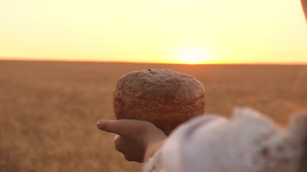 loaf of bread in the hands of a girl over a wheat field in the rays of sunset. close-up. Delicious bread in hands carries young beautiful woman on a wheat field. tasty loaf of bread on the palms. - Footage, Video